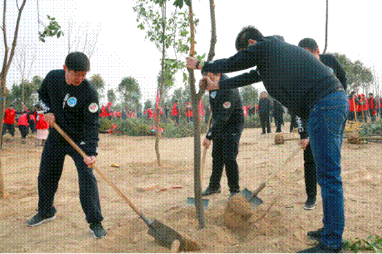 http://www.hamc.edu.cn/__local/4/1C/4F/C5B7F333474B8C371B5EA4D99B6_82B4CA05_E03C3.png